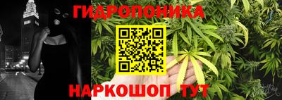 стаф Славянск-на-Кубани